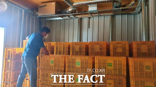 전북 진안군이 국내육성 품종 고구마를 재배하는 농가 대상으로 큐어링 저장 시스템을 도입해 호응을 받고 있다고 16일 밝혔다. /진안군 제공