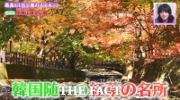  내장산국립공원, 일본 프로그램 소개 '일본서도 인기 행진'