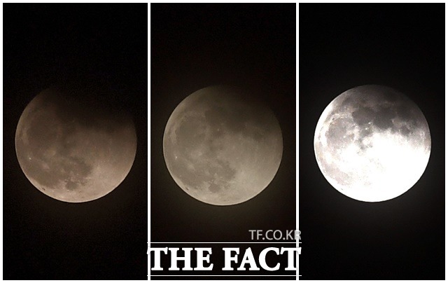 19일 오후 인천 서구 하늘에서 달 일부가 지구 그림자에 가려지는 부분월식이 관측되고 있다. /인천=남용희 기자