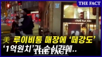  루이비통 제품 '1억 원'어치가 순식간에...美 떼강도 비상(영상)