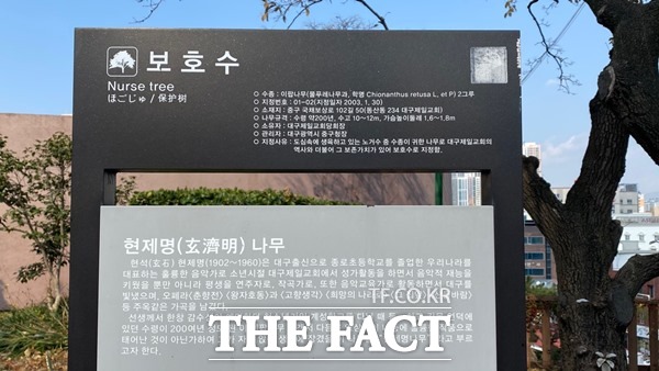 현제명 나무에 대한 안내판엔 그의 친일행위에 대한 내용은 적혀져 있지 않다./대구=이성덕 기자
