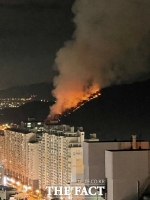  부산 덕천동 아파트 야산서 불…'인명 피해 없어'