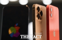  애플, '급락장' 속 3%↑…시총 1위 자리 탈환