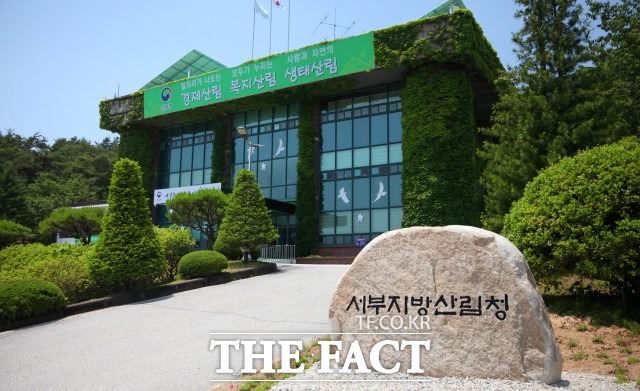 서부지방산림청은 소나무재선충병 피해의 인위적 확산방지 및 건전한 유통·취급질서 확립을 위해 소나무류 취급업체(자)의 소나무류 무단이동 특별단속을 추진하고 있다. /서부지방산림청 제공