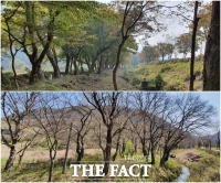  임실군, 오원천변 '장제무림' 국가산림문화자산 지정
