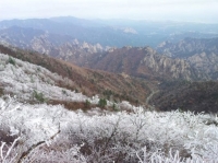  [오늘의 날씨] 맑고 포근한 '대설'…강원 높은 산에 눈