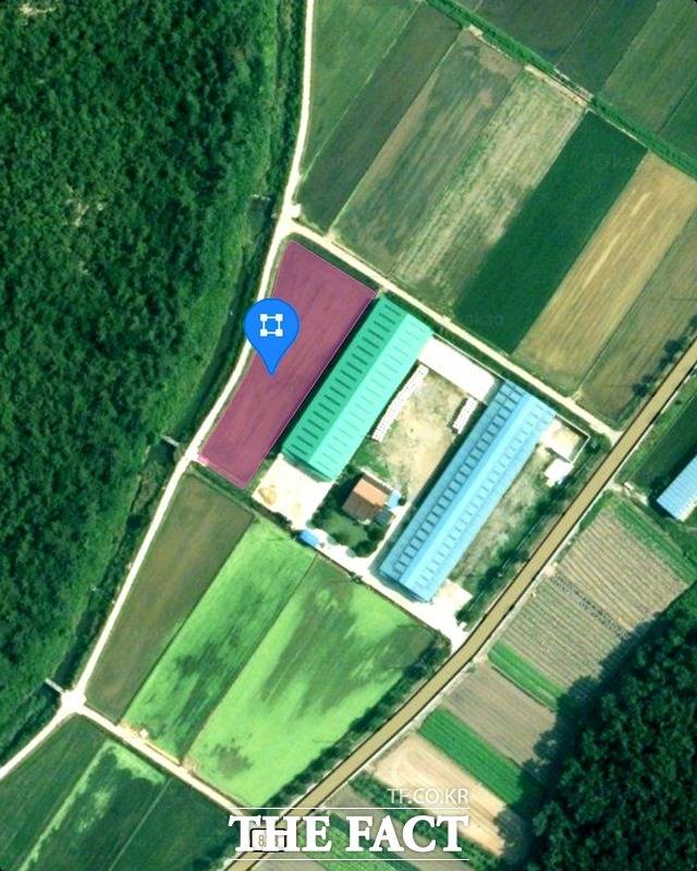 함평군의회 A의원 부부 명의의 한우축사 단지 바로 옆에 차명 매입 의혹을 받는 신광면 삼덕리 1069-1번지(보라색 부분) 부지가 인접해 있음을 알 수 있다. / 다음 지도 캡쳐