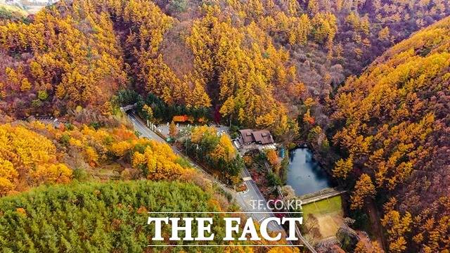 단풍으로 물든 만인산 자연휴양림 / 대전 동구 제공