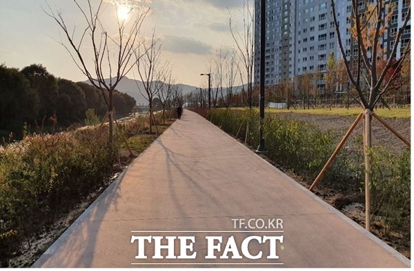 동화천변에 조성된 바람숲길