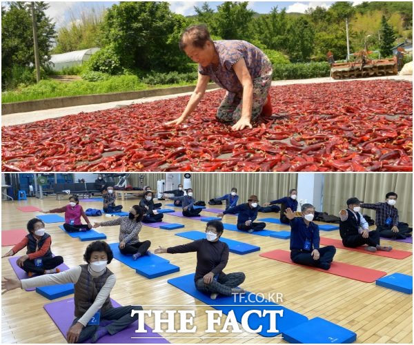 도내 최초로 군민의 무릎 수술비 지원조례를 제정하며 군민들의 권리확대에 노력하는 전북 순창군이 내년 1월 13일부터는 개인의 권리·의무와 관련된 규칙의 제정, 개정 또는 폐지에 따른 관련 의견을 제출할 수 있는 근거를 담은 조례안을 제정했다. /순창군 제공