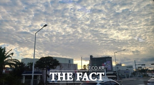 제주 지진이 발생하기 전 잡힌 참돔 떼와 물결 모양의 양떼구름 사진을 두고 지진 전조 현상이었다고 주장하는 글들이 SNS에 속속 올라오고 있다. /온라인 커뮤니티 캡처