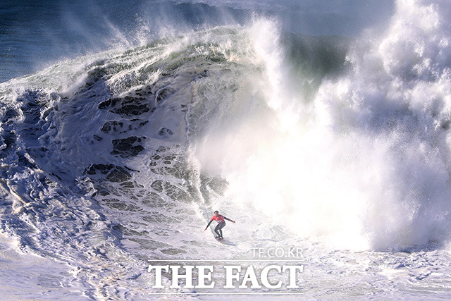 13일(현지시간) 포르투갈 나자레의 프라이아 두 노르트 해변에서 파도타기 대회 투도르 나자레 토우 서핑 챌린지(Tudor Nazare Tow Surfing Challenge)가 열려 한 참가자가 파도를 타고 있다. /나자레=신화.뉴시스