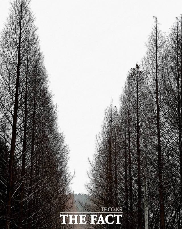 사진은 기사와 관련 없음 / 더팩트 DB