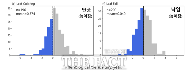 우리나라 산림의 가을 계절현상(단풍, 낙엽)이 늦어지는 경향을 보이고 있다. /국립수목원 제공