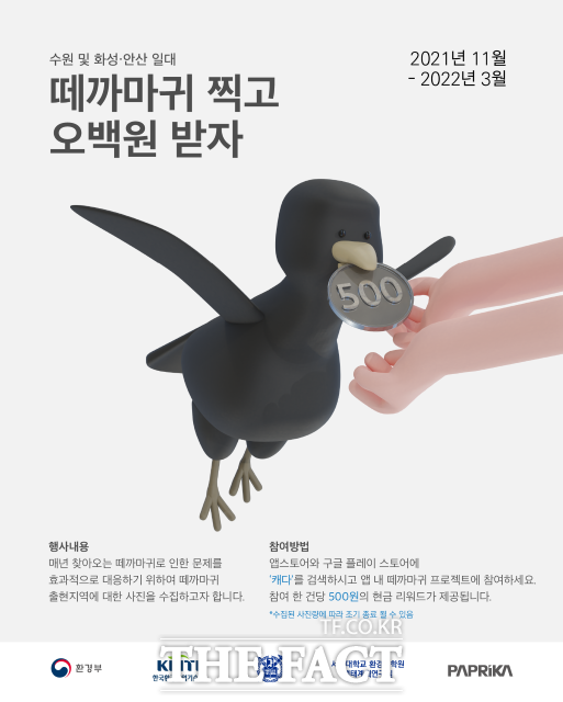 떼 까마귀 촬영 안내 홍보물./ 수원시 제공