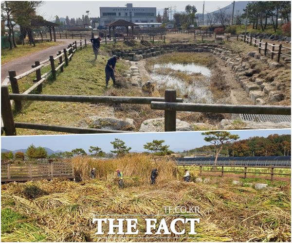 전북 임실군이 오수면의 오수천 인공생태습지를 주민 친화적인 친수시설로 선도적으로 유지 관리하는 데 힘쓰고 있다고 밝혔다. /임실군 제공