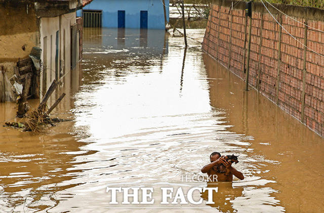 27일(현지시간) 브라질 바이아주 이타페팅가가 두 달째 이어진 폭우로 인해 물에 잠긴 가운데 한 남성이 강아지를 구조하고 있다. /이타페팅가=AP.뉴시스