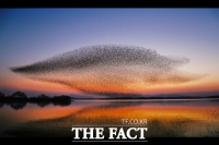  고창군, 야생조류 생태계서비스지불제계약 사업비 1억6000만원 확보