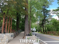  광릉숲길, 생물다양성 관찰 통한 힐링장소로 인기몰이...올해 95만명 찾아