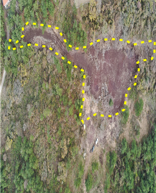 훼손전 임야(위) 훼손후 임야(아래) 항공사진./제주도 제공