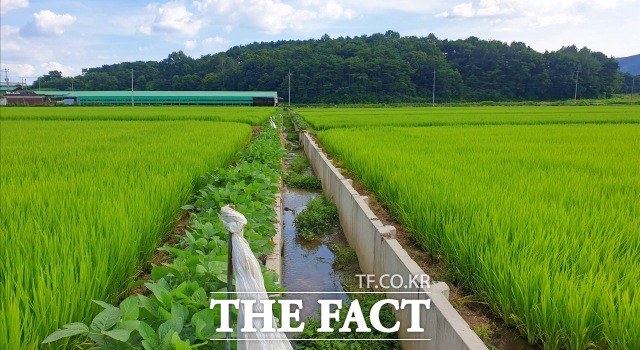 전북 임실군이 농경지 침수피해를 예방하기 위한 배수개선사업을 잇따라 추진한 가운데 새해에는 오수면 대정지구 신규 사업을 본격 추진한다고 30일 밝혔다. /임실군 제공