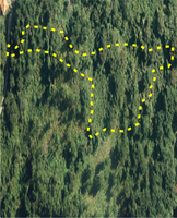  제주자치경찰단, 곶자왈 임야 훼손사범 2명 구속영장 신청