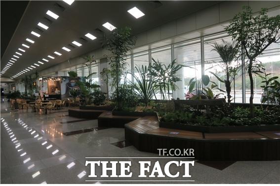 양양국제공항 실내에 조성된 수평정원. 사진/양양군청 제공