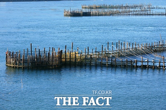 남해 죽방렴/남해군 제공