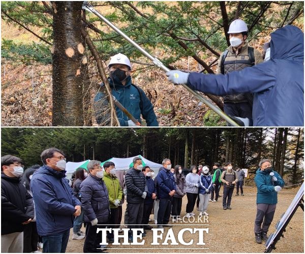 전북도는 2022년 산림 분야 녹색일자리 사업에 총사업비 289억 원을 확보하고, 공공 산림가꾸기 등 7개 분야 1773명에게 일자리를 제공할 계획이라고 4일 밝혔다. /더팩트DB