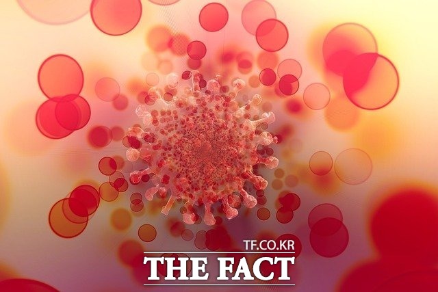 공주의 한 종교시설에서 40명이 코로나19에 집단 감염됐다. /더팩트DB