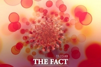  ‘14명 모두 오미크론 감염’에 무게... 영광 지역사회 ‘초긴장’(종합)