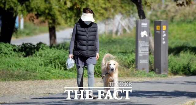 서울시가 운영하는 도심 공원에 비반려인과 반려인의 갈등으로 규칙이 오락가락해 시민들의 혼란을 초래하고 있다. /더팩트 DB