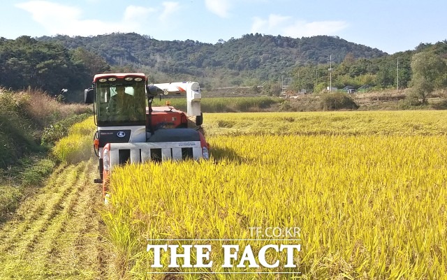 정읍시 관계자는 “공익직불금을 통해 농가 간 소득 불균형이 완화되고 환경보전, 식품 안전 등 농업인 역할에 대한 인지도 확산으로 농업 · 농촌의 공익기능이 증진될 것으로 기대한다”고 말했다. / 정읍시 제공