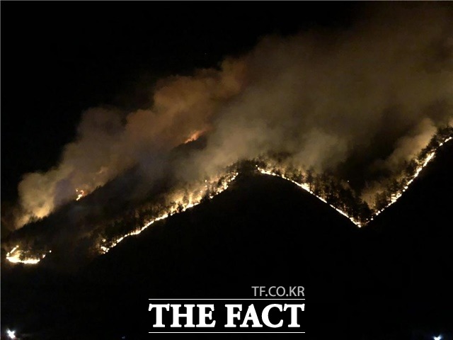 올해 1월 산불 위험이 높을 것으로 전망됐다. / 국립산림과학원 제공