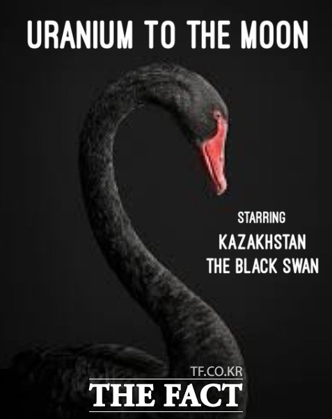 산유국인 카자흐스탄의 반정부 시위로 우라늄 가격과 국제유가가 오르자 카자흐스탄을 블랙스완에 비유는 그림과 글이 사회관계망서비스(SNS)인 트위터에 등장했다./우라늄웰스 트위터