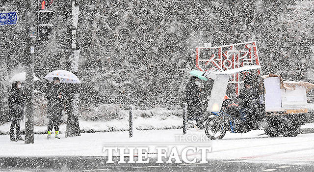 서울과 경기북부에 대설주의보가 내려진 2021년 1월28일 오전 서울 중구 충무로 일대에 함박눈이 내리고 있다. /이새롬 기자