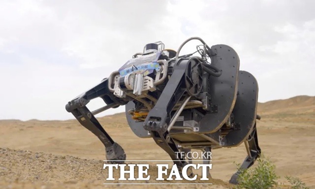 중국이 개발한 전기추진 4족 로봇 기계야크가 사막에서 이동하고 있다./글로벌타임스