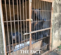  낙동강청, 멸종위기종 '반달가슴곰' 등 불법 사육행위 13건 적발