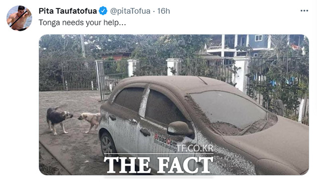 국내에 ‘통가맨’으로 알려진 통가의 올림픽 국가대표 선수 피타 타우파토푸아(38)가 SNS를 통해 국제사회에 도움을 요청하며 발벗고 나섰다. /피타 타우파토푸아 트위터 캡처