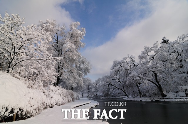 산림청 국립수목원 수생식물원의 겨울. /국립수목원 제공