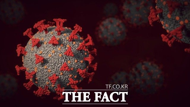 광주·전남지역에서 코로나19 오미크론 변이 바이러스 감염자가 급속히 증가하면서 일일 확진자가 682명을 기록해 역대 최고치를 경신했다./픽사베이