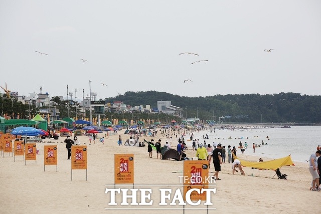 충남 보령 대천해수욕장과 무창포해수욕장이 7월 2일과 9일 각각 개장한다. /보령시청 제공