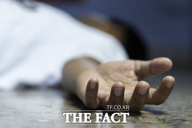 광주고등법원은 촉탁 살인 등의 혐의로 기소된 여성에게 징역 1년을 선고했다. 사진은 기사와 관련없음 / 픽사베이