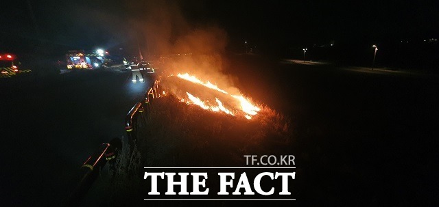 9일 밤 화재가 발생한 세종시 금강변 모습. /세종시소방본부 제공