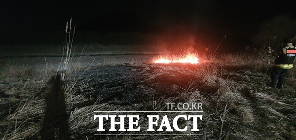 9일 밤 화재가 발생한 세종시 금강변 모습./세종시소방본부 제공