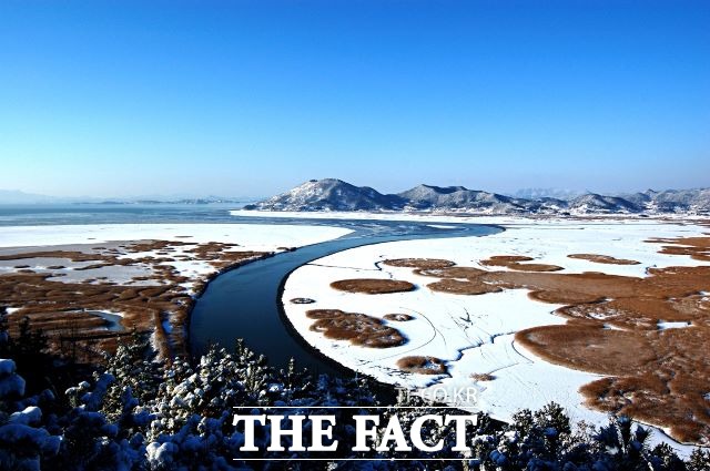 순천만 겨울 모습/ 순천시 제공