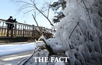  [오늘의 날씨] 정월대보름 강추위…서울 아침 영하 7도