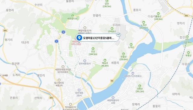 세종시 도담동 도램마을13단지 위치도./ 출처=네이버 지도