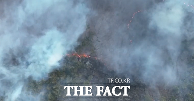 영덕 삼화리 산불 현장/산림청 제공