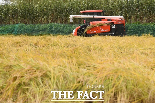 농지연금 가입연령을 낮추는 내용을 담은 한국농어촌공사 및 농지관리기금법 시행령 개정안이 18일 시행된다. 사진은 기사의 특정 사실과 무관하다. /남용희 기자